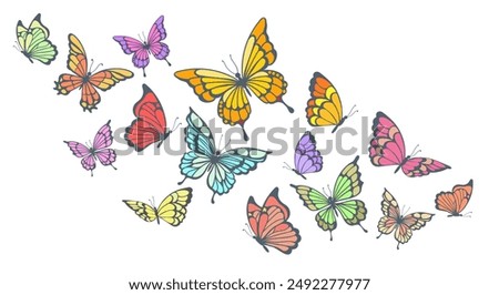 Colorful flying butterflies. Spring and summer insects isolated vector illustration