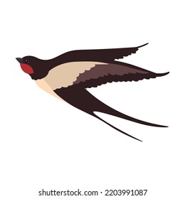 Colorful flying swallows flat illustration. Bird flock in fight with different poses isolated vector illustration. Wildlife and fauna concept