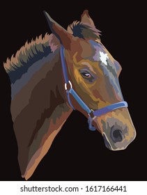 Colorful foal portrait with halter. Young horse head in profile isolated on black background. Vector drawing illustration. Retro style portrait of horse.