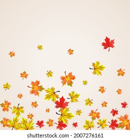 Colorful Foliage Background Beige Vector. Floral Realistic Card. Ocher Season Plant. Seasonal Leaf Template.