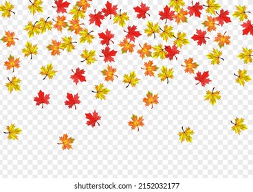 Colorful Foliage Background Transparent Vector. Floral Nature Illustration. Yellow Decoration Plant. Flying Leaf Frame.