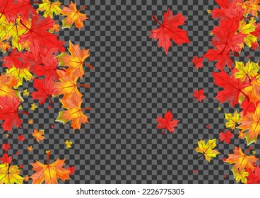 Colorful Foliage Background Transparent Vector. Plant Paper Texture. Autumnal Celebrate Floral. Season Leaf Frame.