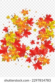 Colorful Foliage Background Transparent Vector. Leaves Wallpaper Illustration. Yellow Bright Leaf. Celebrate Plant Texture.