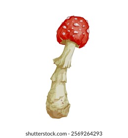 Colorful forest mushroom toadstool red fly agaric.Vector graphics.