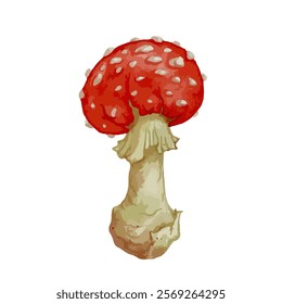 Colorful forest mushroom toadstool red fly agaric.Vector graphics.