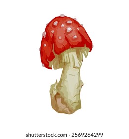 Colorful forest mushroom toadstool red fly agaric.Vector graphics.