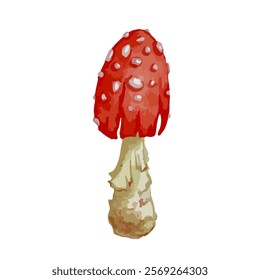 Colorful forest mushroom toadstool red fly agaric.Vector graphics.