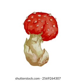 Colorful forest mushroom toadstool red fly agaric.Vector graphics.