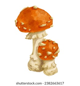 Colorful forest mushroom toadstool. Vector graphics.