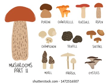 Colorful forest set. Mushroom collection - porcini, chanterelle, russule, aspen, champignon, truffle, shitake, morel, parasol, oysters.