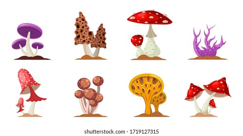 Colorful forest wild collection of assorted edible mushrooms and toadstools with names in cartoon style isolated vector illustration. Flat design mushrooms set