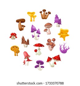 Colorful forest wild collection of assorted edible mushrooms and toadstools with names in cartoon style isolated vector illustration. Flat design mushrooms set