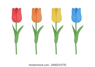 Colorful four tulip illustration set.