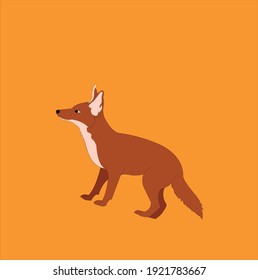 colorful fox  illustration vector art