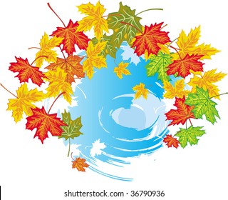 Colorful frame from maple leaves