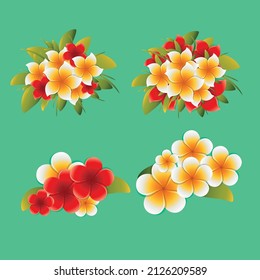 Colorful Frangipani Flowers, Vector Design