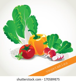 Colorful fresh group of vegetables.Vector background.