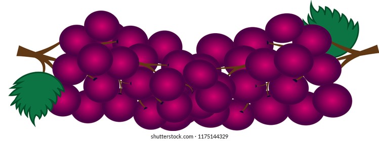 Colorful and freshness grape on the white background
