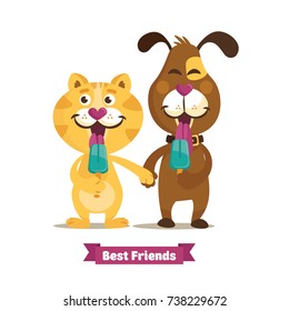 Colorful friendship day illustration card with funny dog and cat. Card, sticker, emblem about friendship