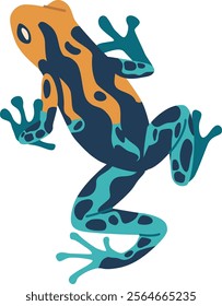 Colorful frog amphibian animal vector illustration