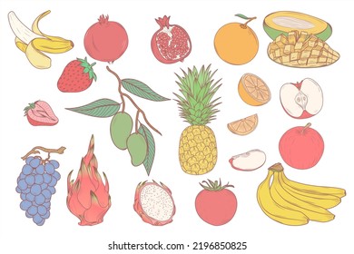 colorful fruit illustration design, fresh fruit design.