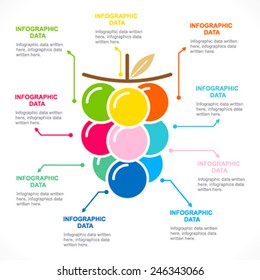 colorful fruit info-graphics design vector