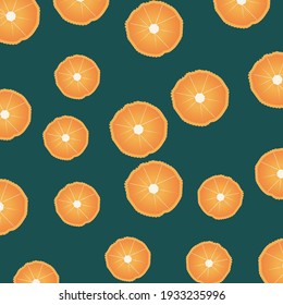 Colorful fruit pattern of fresh orange, green background. Use for print