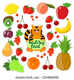 Colorful fruits and berries icons set,vector illustration with figure cat cook cartoon with handwritten calligraphy.