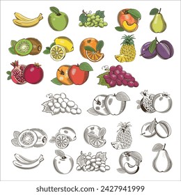 Colorful fruits with black and white and Hand Drawn effects. 13 different fruit illustrations
