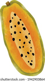 Colorful fruits exotic bright illustration healthy food papaya