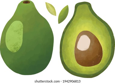 Colorful fruits exotic bright illustration healthy food avocado