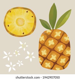 Colorful fruits exotic bright illustration healthy food pineapple