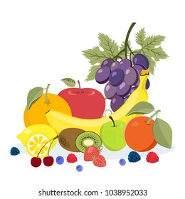 Colorful fruits illustration. Banana and lemon, grapes and oranges.