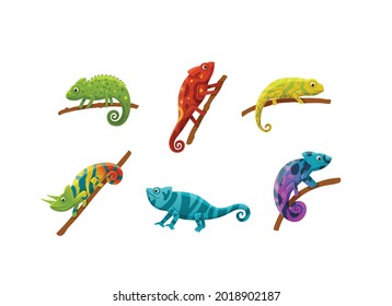 Colorful funny cartoon chameleons in rainbow spectrum colors, flat vector illustration isolated on white background. Animal reptiles and lizards collection. svg