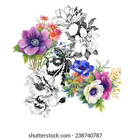 Colorful garden flowers on white background vector illustration