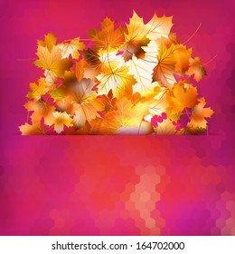 Colorful geometric background card with maple leave enjoy autumn sales. And also includes EPS 10 vector