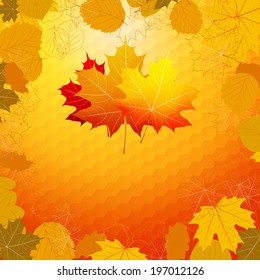 Colorful geometric background card with maple. plus EPS10 vector file