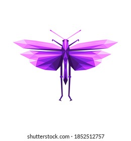 colorful geometric polygon grasshopper . Abstract insect symbol. Vector. white background