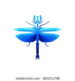 colorful geometric polygon mantis . Abstract insect symbol. Vector. white background