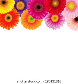 Colorful Gerbers Border, Vector Illustration