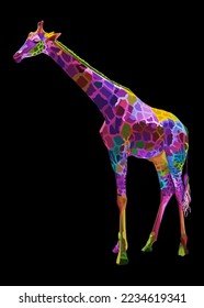 colorful giraffe head isolated on white background.