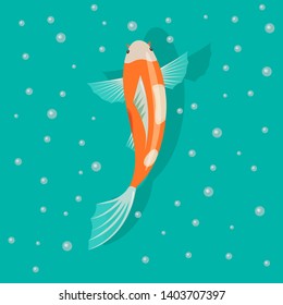 Colorful gold fish in the azure pond with bubbles. Vector illustration. 