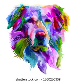 colorful golden retriever dog on pop art style. vector illustration.