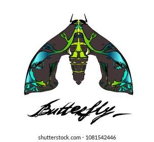 Colorful gradient decorative vector illustration of moth isolated on white. . Coloring book for adults. Nature, spirituality. Butterfly wall art design. Poster for living room.