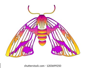 Colorful gradient decorative vector illustration of moth isolated on white over. wedding invitation or visit card design. Nature, spirituality, fairy, magic concept.