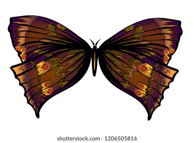 Colorful gradient decorative vector illustration of moth isolated on white over. wedding invitation or visit card design. Nature, spirituality, fairy, magic concept.