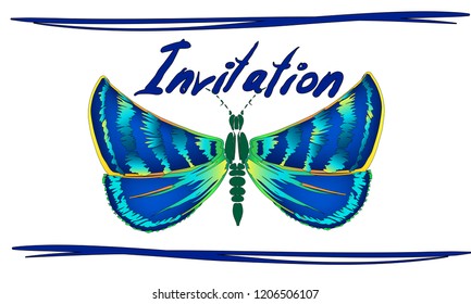 Colorful gradient decorative vector illustration of moth isolated on white over. wedding invitation or visit card design. Nature, spirituality, fairy, magic concept.