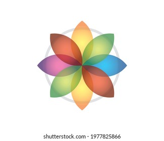 colorful gradient petals flower rotation	