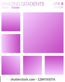 Colorful gradients in orchid and fuchsia color tones. Adorable gradient background, unusual vector illustration.