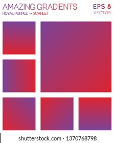 Colorful gradients in royal purple and scarlet color tones. Admirable background, awesome vector illustration.